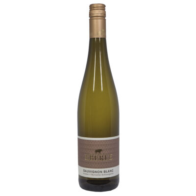 Sauvignon Blanc Weingut Eberle