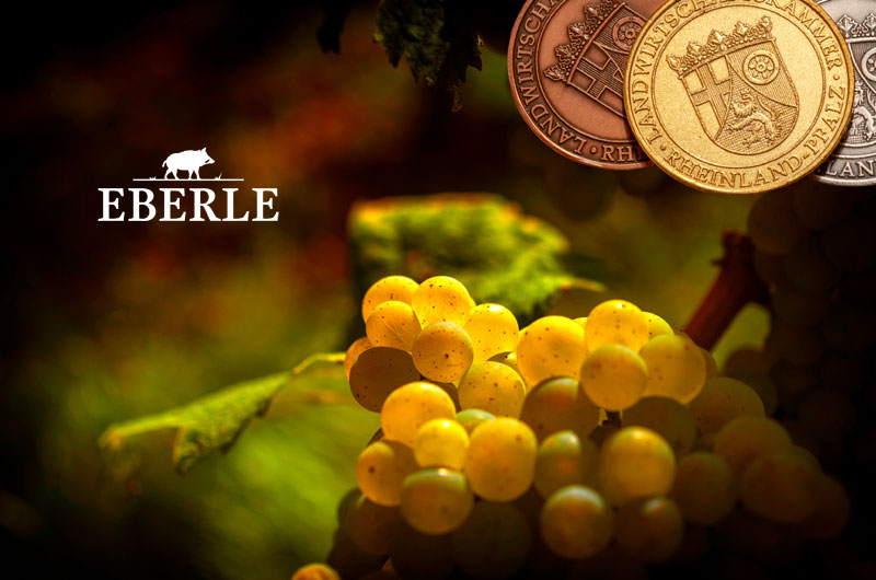 Brennerei im Weingut Eberle in Burrweiler